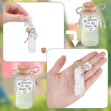 DELORIGIN 2pcs Pet Hair Glass Memorial Bottle Wishing Bottle with Heart Pendants and Cork Stopper Dog Cat Glass Tube Keepsake Memorial Urn Pet Sympathy Glass Vial Remembrance Gift for Pet Ashes Hair