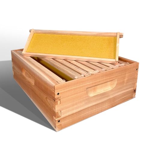 Luxurious Cedar Wood Beehive: Durable, Eco-Friendly Sanctuary for Bees - Handcrafted, Ventilated Design for Optimal Health and Honey Production, Made in USA (Includes 2 Deep and 1 Medium Box) Hoover Hives