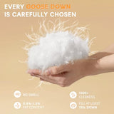 Shilucheng Goose Down Comforter Queen Size, 850+ Fill Power All Season Duvet Insert with 600TC Ultra-Soft Cotton Cover, 3D Baffle Box Design for Maximum Fluffiness (White,90x90 Inches) Shilucheng