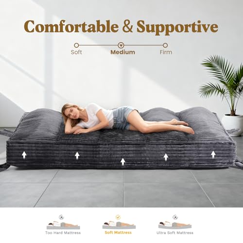 NLDD 10" Futon Mattress Queen Size, Ultra Thick Futons Sofa Couch Bed Sleeper Sofa Bed, Versatile Floor Futons Japanese Floor Mattress for Adults, Grey (Frame Not Included) NLDD