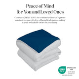ROYALE LINENS Reversible Comforter - Twin Size Duvet Insert - All Season Soft Quilted Comforters with 8 Corner Tabs - Down Alternative Bedding Comforter - Duvet Insert (Navy/Silver, Twin 64"x84") ROYALE LINENS