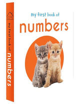 My First Library: Boxset of 10 Board Books for Kids WoodArtSupply