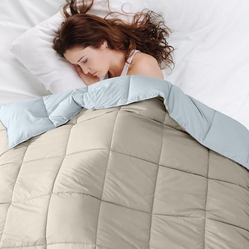Modern Threads Down Alternative Reversible Comforter Beige/Light Blue Twin Modern Threads