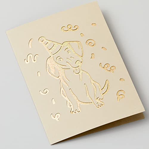 Cricut Cutaway Cards R40, Intricately Design Birthday Cards, Thank You Cards, Custom Greeting Cards, Holographic Backer, Compatible with Cricut Joy/Maker/Explore Machines, Pastel Sampler (12  - WoodArtSupply