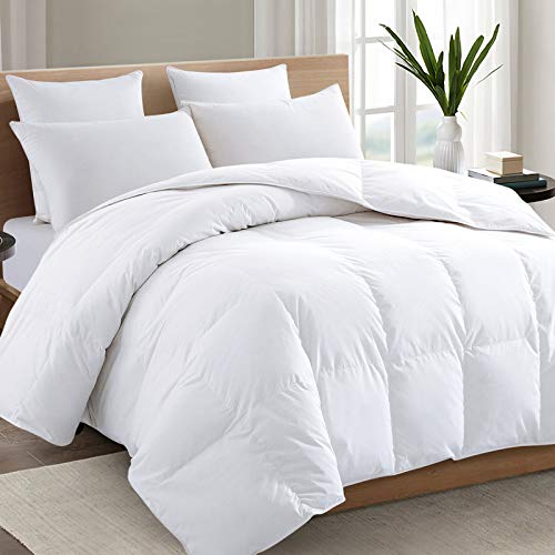 TEXARTIST Premium 2100 Series Queen Comforter All Season Breathable White Comforter Soft 4D Spiral Fiber Quilted Down Alternative Duvet Insert with Corner Tabs Luxury Hotel Style (88"x88") TEXARTIST