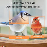 NETVUE Birdfy AI - Upgraded Smart Bird Feeder with Camera Solar Powered, Free AI Identify 6000+ Bird Species & Motion Detection, Eco-friendly & NETVUE