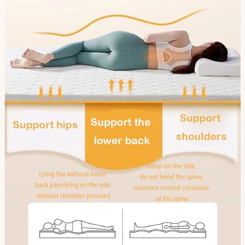 NUZEUYKSTK Tri-fold Memory Coir Foam Futon Sleeping Mat, Quilted Cover Portable Floor Sleeping Pad Foldable Futon Folding Mattress Floor Mat Folding Bed with Mattress for Use (Black, 90x200cm) NUZEUYKSTK