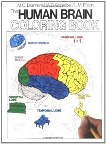 The Human Brain Coloring Book: A Coloring Book (Coloring Concepts)