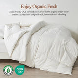 KUSNUG 100% Organic Cotton Feather & Down Fibers Comforter Twin Size, All-Season Hotel-Style Hypoallergenic Duvet Insert, Ivory White 68x90 Inch KUSNUG