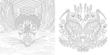 Millie Marotta's Wildlife Wonders: Favorite Illustrations from Coloring Adventures (A Millie Marotta Adult Coloring Book) Union Square & Co.