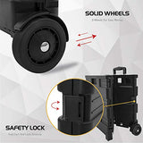 Olympia Tools 85-010 Grand Pack-N-Roll Portable Tools Carrier with Telescopic Handle, 80 Lb. Load Capacity, Black Olympia Tools