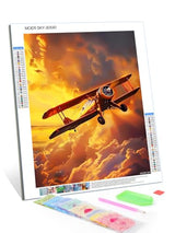 MOER SKY Diamond Painting for Adults 5D Aircraft Flying at Sunset Full Drill Diamond Art Kit DIY Airplane Gem Painting Set Bedroom Living Room Wall Decor Gifts 12x16 inch MOER SKY