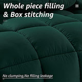 HYLEORY All Season Twin Size Bed Comforter - Cooling Goose Down Alternative Quilted Duvet Insert with Corner Tabs - Winter Warm - Machine Washable - Emerald Green HYLEORY