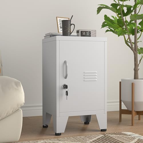 PAOFIN 24.4" H Metal Locker Storage Cabinet with 1 Doors, Pantry with Shelves, Storage Cabinet with Adjustable Leveling Foot for Kitchen, Employees, Office, Kids Locker PAOFIN