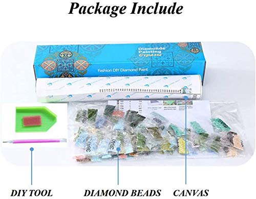 DIY 5D Diamond Painting Kit Atlanta Georgia USA Downtown Skyline Ga Midtown Landscape Scene 14" X 20" Adult Full Drill Rhinestone Cross Stitch Art Crafts for Home Decoration Suklly