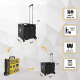 Olympia Tools 85-010 Grand Pack-N-Roll Portable Tools Carrier with Telescopic Handle, 80 Lb. Load Capacity, Black Olympia Tools