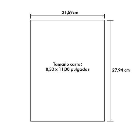 Epson Dye Sublimation 8.5" x 11" 100 Sheets Multi-Use Transfer Paper (S450361) Epson