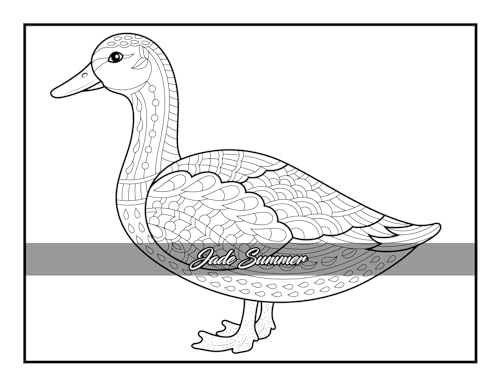 100 Animals: An Adult Coloring Book with Lions, Elephants, Owls, Horses, Dogs, Cats, and Many More! FILLBOSS