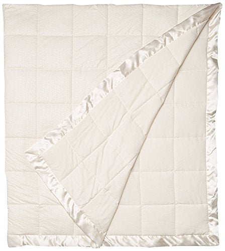 Madison Park Cambria Down Alternative Blanket, Premium 3M Scotchgard Moisture Wicking Treatment, Lightweight and Soft Bed Cover For Summer with Satin Trim, Oversized Full/Queen Ivory Madison Park