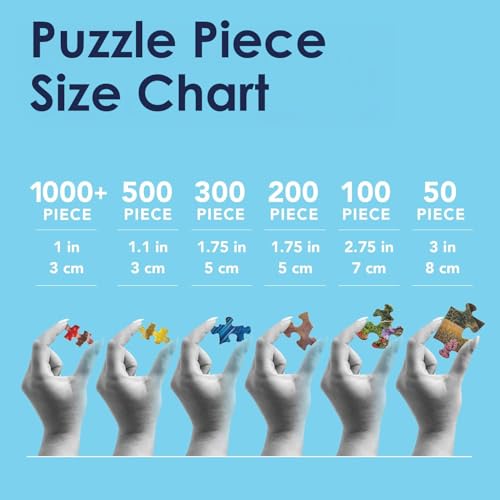 Bits and Pieces Jigsaw Puzzles for Adults 300 Pieces, Pumpkin Window Basket Bits and Pieces