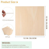30 Pack Basswood Sheets 12x12x1/12 Inch, Plywood Sheet Unfinished Wood Boards Blanks for Laser Cutting, Engraving, Burning, Crafts Ecurfu