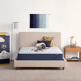 Serta Sleeptrue Firm 11" Full Hybrid Mattress in a Box, Cooling, Breathable, and Pressure Relieving - 100 Night Trial, CertiPUR-US Certified and 10 Year Limited Warranty Serta