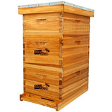 MayBee 8-Frame Langstroth Beehive Dipped in 100% Beeswax, Bee Hive for Beginner, Honey Bee Hives Includes 2 Deep Bee Boxes, 1 Bee Hive Super with Beehive Frames and Foundation (3 Layer) MayBee