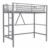 VECELO Metal Loft Bed Twin Size with Removable Ladder and Safety Guardrail, No Box Spring Needed, Space Saving, Noise Free, Grey VECELO