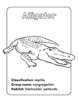 Wild Animal Book for Kids: Coloring Fun and Awesome Facts (A Did You Know? Coloring Book) WoodArtSupply