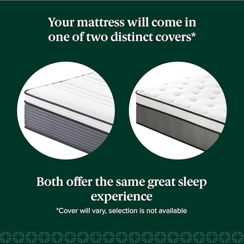 ZINUS 12 Inch True Support Hybrid Mattress [New Version], Full, Fiberglass Free, Medium Feel, Motion Isolation, Certified Safe Foams & Fabric, Mattress in A Box ZINUS