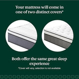 ZINUS 12 Inch True Support Hybrid Mattress [New Version], Full, Fiberglass Free, Medium Feel, Motion Isolation, Certified Safe Foams & Fabric, Mattress in A Box ZINUS