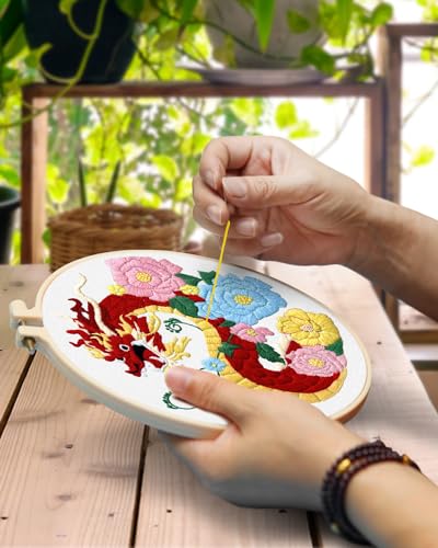 TINDTOP Embroidery Kit for Beginners Adult, Dragon Embroidery Kit for Beginners Include Embroidery Cloth Hoops Threads for Craft Lover Hand Stitch with Embroidery Skill Techniques TINDTOP