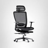 FLEXISPOT Ergonomic Office Chair with Footrest, Mesh High Back Computer Chair, Home Office Desk Chairs, with Adjustable Lumbar Support/4D Headrest/Reliable Base, Breathable Mesh Seat, Black, OC3 AIR-F FLEXISPOT