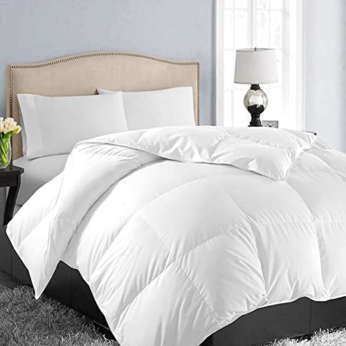 EASELAND Twin Size Down Alternative Comforter - Quilted Duvet Insert for All Seasons, Soft Lightweight with Corner Tabs, Summer Winter Warm Bedding, White 64×88 Inches EASELAND