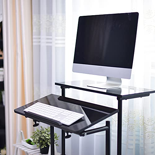 DlandHome Mobile Standing Desk Stand Up Desk Rolling Desk, Stand Sit Desk Mobile Computer Desk Adjustable Standing Desk 23.6inches Table Workstation Mobile Desk Cart Tray Black - WoodArtSupply