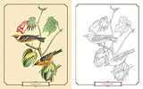 The Audubon Birds Coloring Book Arcturus