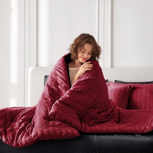 MUXHOMO 7 Pieces Queen Comforter Set, Seersucker Bed in a Bag Queen Size, All Season Luxury Bedding Set with Comforter, Flat Sheet, Fitted Sheet, Pillowcases & Shams, Red & Black MUXHOMO