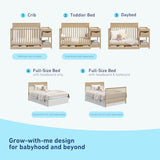 Graco Shiloh 5-in-1 Convertible Crib & Changer with Drawer – GREENGUARD Gold Certified Baby Crib Crafted from Wood, Converts to Toddler Bed, Daybed, and Full-Size Bed (Driftwood)
