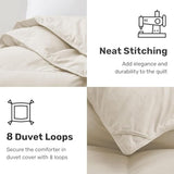 UNIKOME Goose Feather Down Fiber Comforter Queen Size, All Season Duvet Insert with Soft Downproof Cover, Cloud-Like Fluffiness Bed Comforters with Corner Tabs (Full/Queen, Cream, 88"X88") UNIKOME