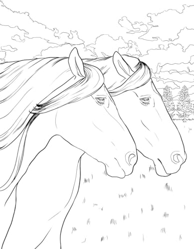 Horse Coloring Book: For Kids Ages 9-12 (Young Dreamers Coloring Books)