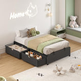 HAUOMS Twin Size Bed Frame with 2 Large Storage Drawers, Platform Bed with Drawers, Heavy Metal Slats Support, No Box Spring Needed, Noise Free, Easy Assembly, Dark Grey HAUOMS