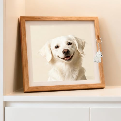 ELANE Dog Hair Keepsake，2 Pack Pet Hair Memorial Keepsake Pet Hair Keychain Keepsake (Clear Dogs)