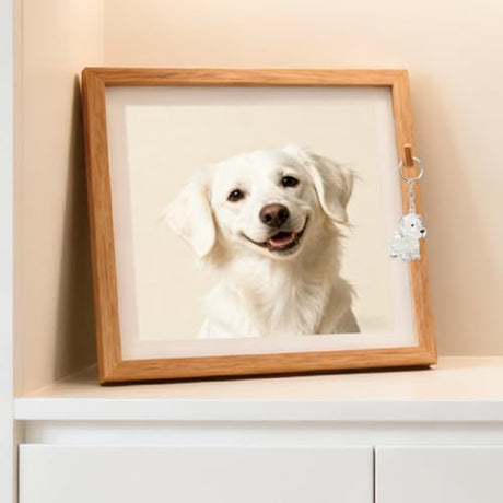 ELANE Dog Hair Keepsake，2 Pack Pet Hair Memorial Keepsake Pet Hair Keychain Keepsake (Clear Dogs) ELANE