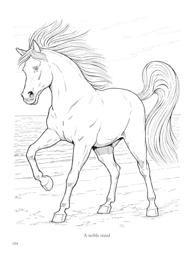 Big Book of Horses to Color (Dover Animal Coloring Books) Dover Publications