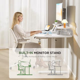 GTPLAYER Electric Standing Desk with Drawers, 48 x 24 Inches Height Adjustable Computer Desk with Monitor Stand, Laptop Stand, Home Office Sit Stand Up Desk with Memory Preset, White GTRACING
