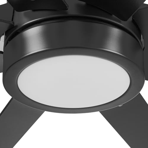 Honeywell Ceiling Fans Xerxes Modern 62 Inch Ceiling Fan with Light, Remote Control Fan, LED Indoor Fan with 8 Blades, Matte Black and Ash Blade Finish Options, Matte Black (51473-01) Honeywell
