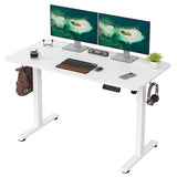Casaphoria 48 x 24 inches Electric Standing Desk, Sit to Stand Desk with Memory Height Adjustment, Home Office Computer Desk for Writing and Games, White Casaphoria