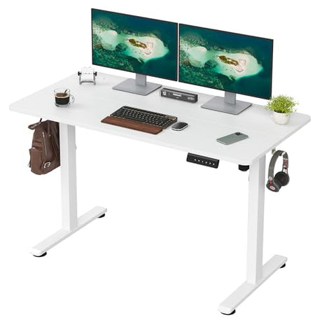 Casaphoria 48 x 24 inches Electric Standing Desk, Sit to Stand Desk with Memory Height Adjustment, Home Office Computer Desk for Writing and Games, White Casaphoria