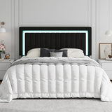 SHA CERLIN King Size Velvet Bed Frame with LED Light, Adjustable Vertical Channel Tufted Headboard, Strong Wooden Slats Support, Noise-Free, No Box Spring Needed, Black SHA CERLIN