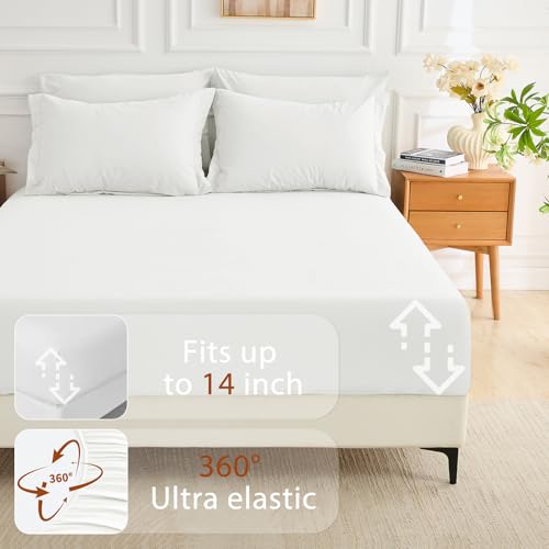 MUXHOMO 7 Pieces Queen Comforter Set, Soft Bed in a Bag Queen Size, All Season Bedding Set with Comforter, Flat Sheet, Fitted Sheet, Pillowcases & Shams, White MUXHOMO